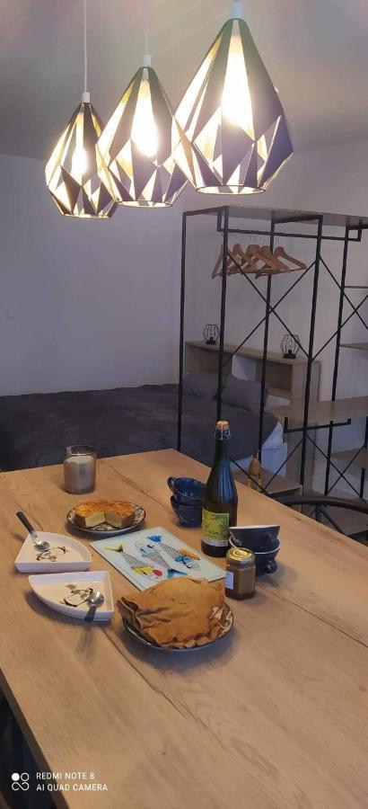 콩카르노 Studio Des Thoniers 아파트 외부 사진